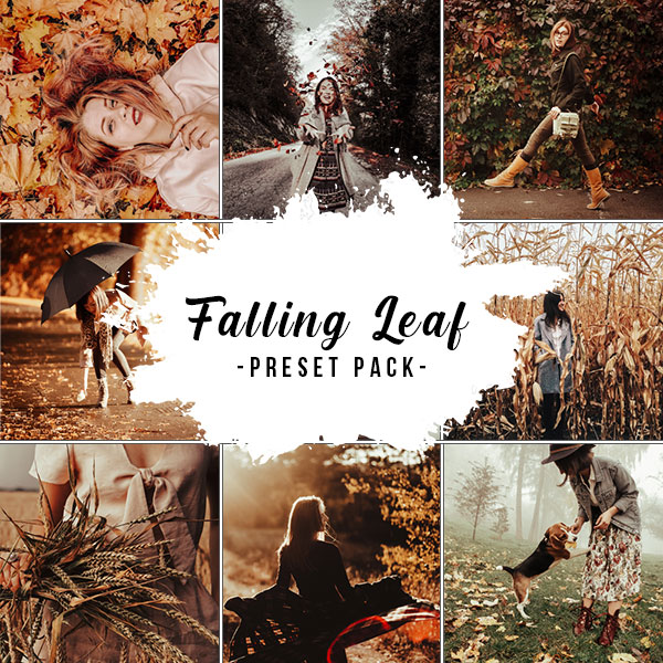 Falling Leaf Preset Pack