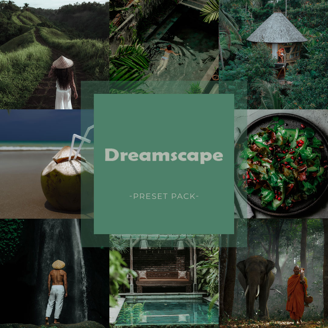 Dreamscape Preset Pack